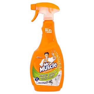 MR MUSCLE MOLD + MILDEW PRIMARY 500ML
